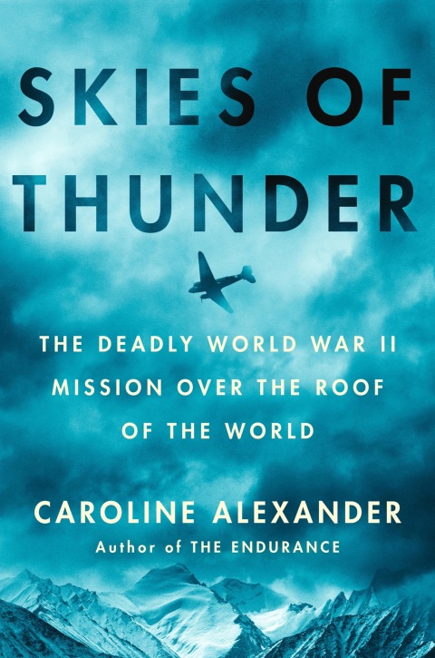 Cover image for book Skies of Thunder