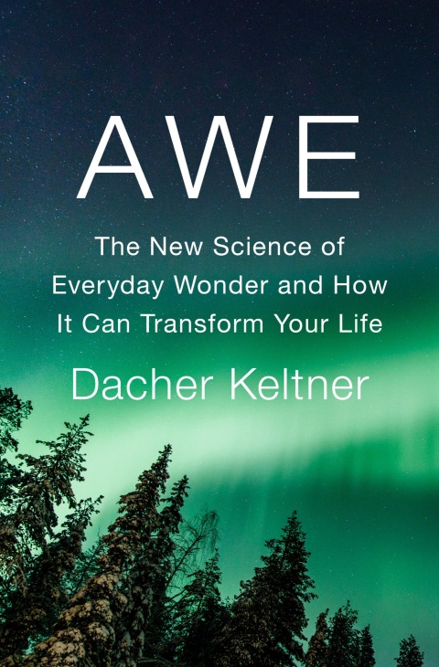 Cover image for book Awe