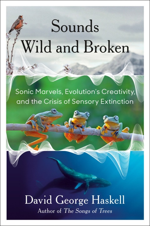 Cover image for book Sounds Wild and Broken