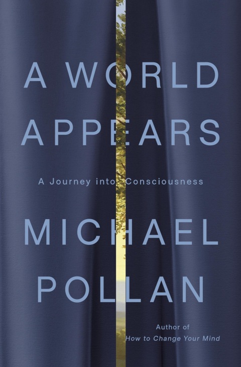 Cover image for book A World Appears