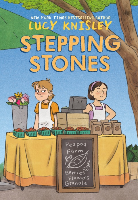 Cover image for book Stepping Stones