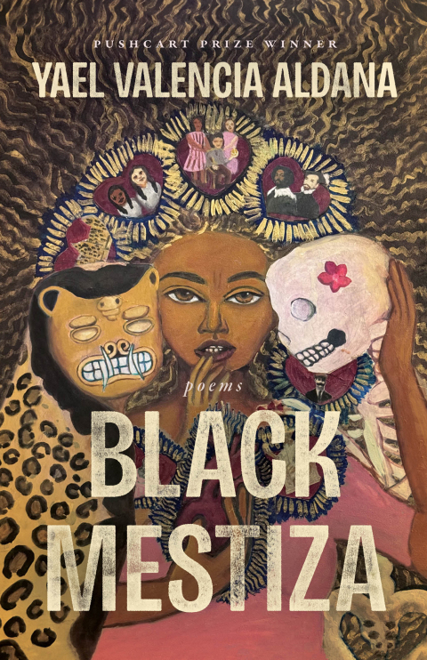 Cover image for book Black Mestiza