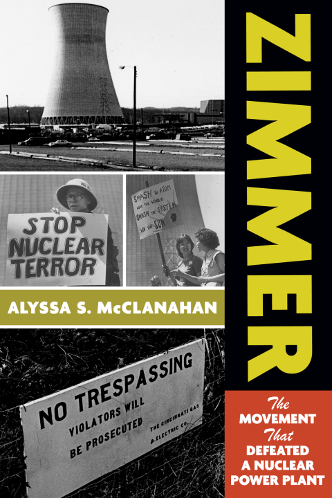 Cover image for book Zimmer
