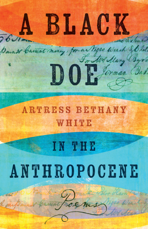 Cover image for book A Black Doe in the Anthropocene