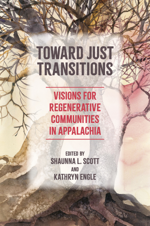 Cover image for book Toward Just Transitions