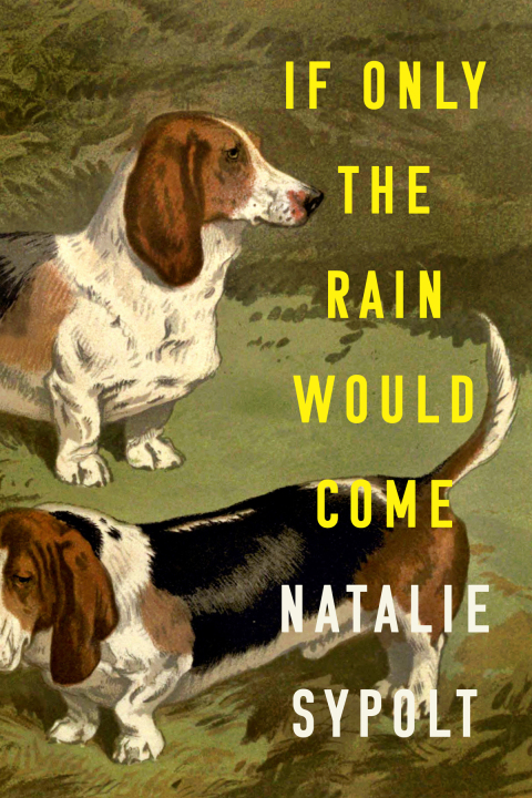 Cover image for book If Only the Rain Would Come