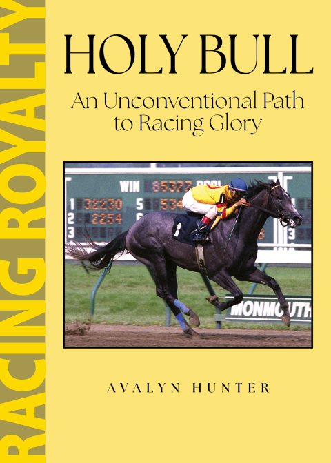Cover image for book Holy Bull
