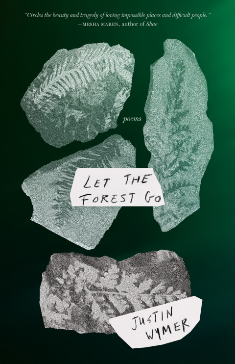 Cover image for book Let the Forest Go