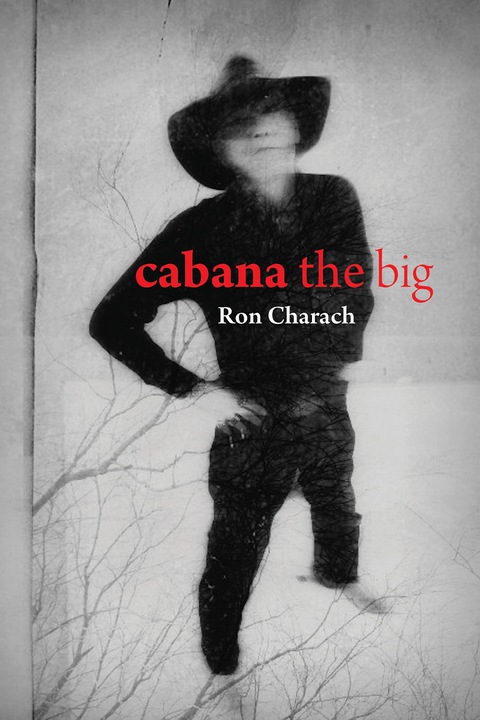 Cover image for book Cabana the Big
