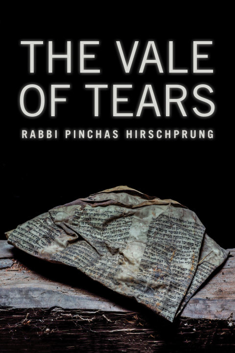 Cover image for book The Vale of Tears