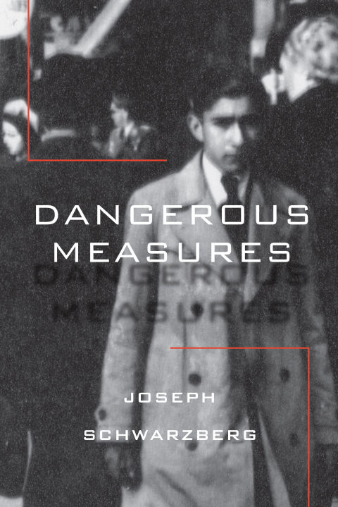 Cover image for book Dangerous Measures