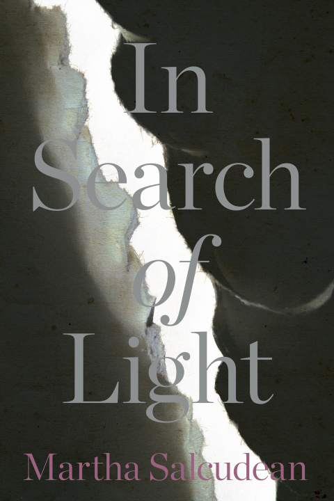 Cover image for book In Search of Light