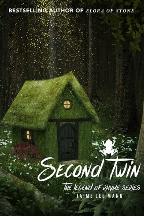 Cover image for book Second Twin