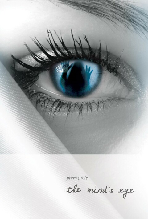 Cover image for book The Mind's Eye
