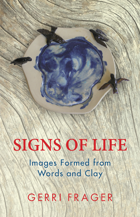 Cover image for book Signs of Life