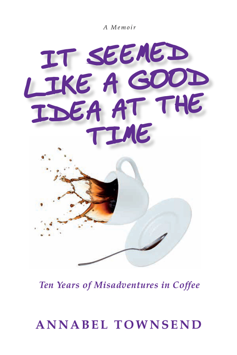 Cover image for book It Seemed Like a Good Idea at the Time