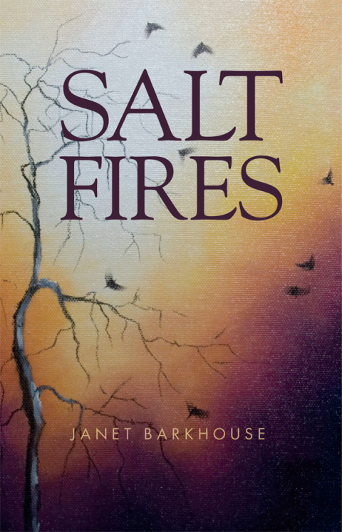 Cover image for book Salt Fires