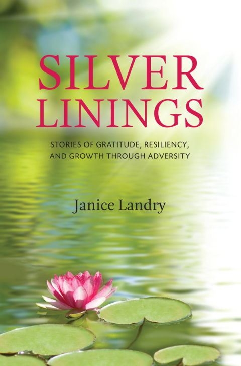 Cover image for book Silver Linings