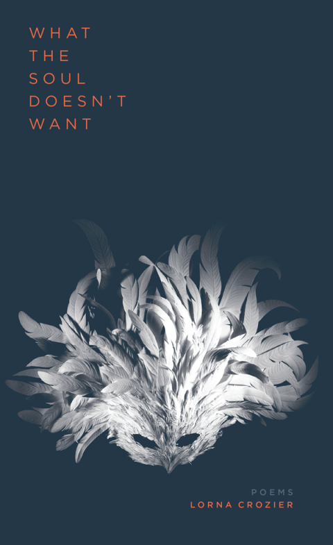 Cover image for book What the Soul Doesn't Want