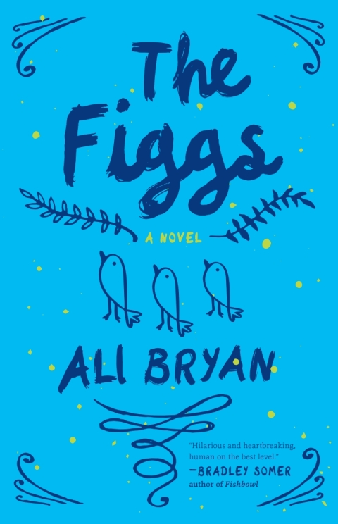 Cover image for book The Figgs