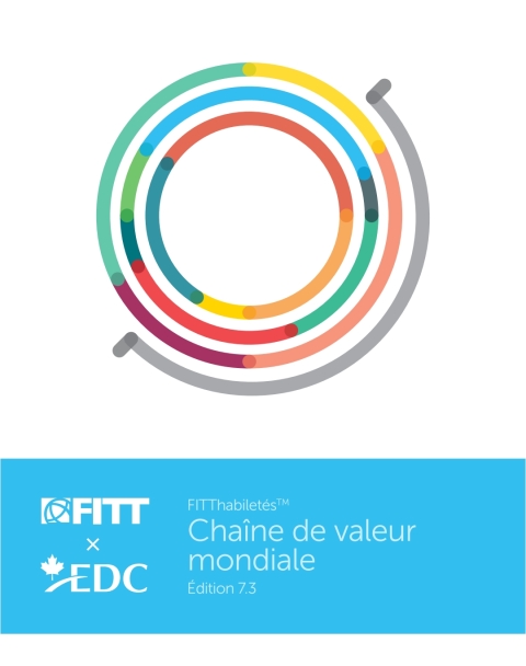 Cover image for book FITThabiletés : Chaîne de valeur mondiale