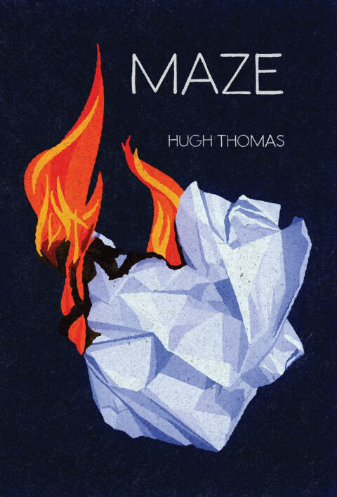 Cover image for book Maze