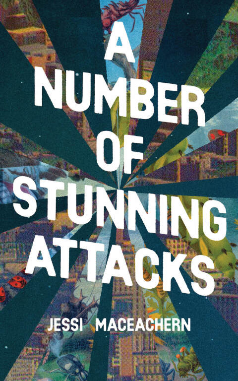 Cover image for book A Number of Stunning Attacks