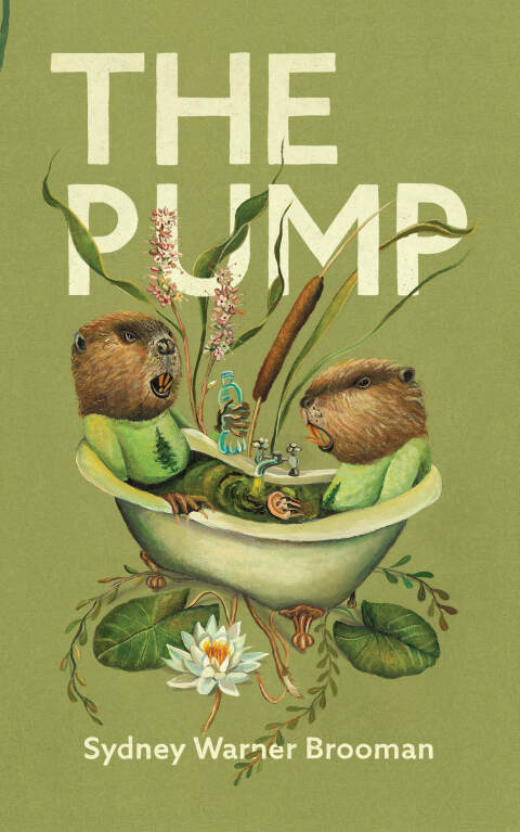 Cover image for book The Pump