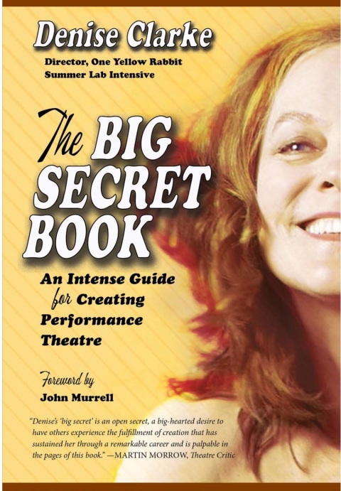 Cover image for book Big Secret Book