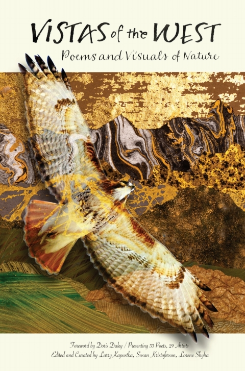 Cover image for book Vistas of the West