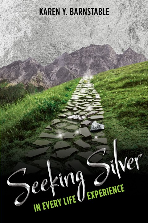 Cover image for book Seeking Silver: