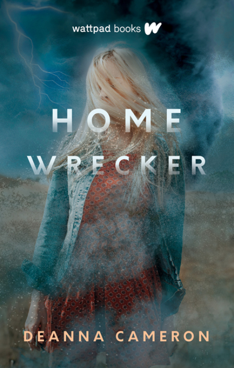 Cover image for book Homewrecker