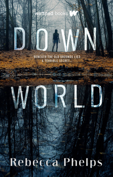 Cover image for book Down World