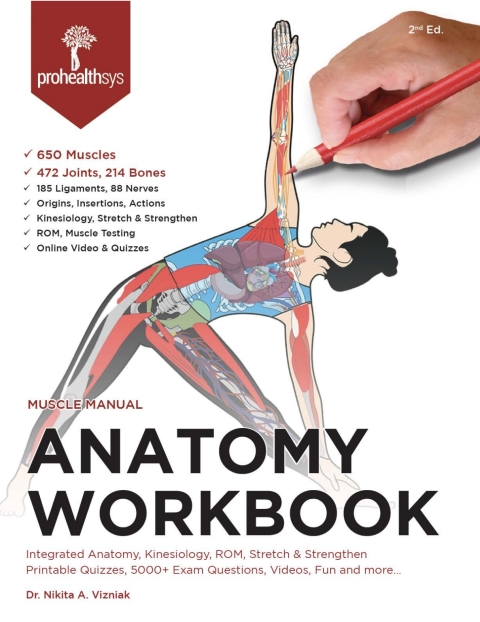 Cover image for book Anatomy WorkBook: 650 Muscle, 472 Joints, 214 Bones, Nerves Blood Vessels, Ligaments, Integrated Anatomy, Kinesiology, ROM, Stretch & Strengthen
Printable Quizzes, 5000+ Exam Questions, Videos, Fun and more…