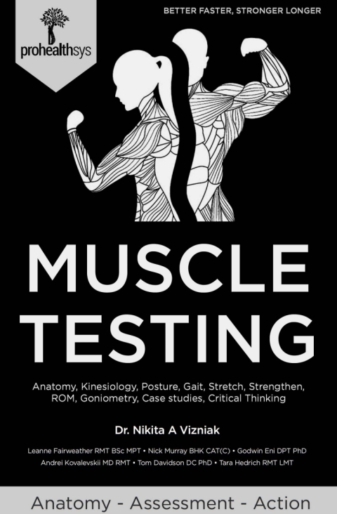 Cover image for book Muscle Testing: Anatomy, Kinesiology, Posture, Gait, Stretch, Strengthen, ROM, Goiniometry, Case Studies, Critical Thinking