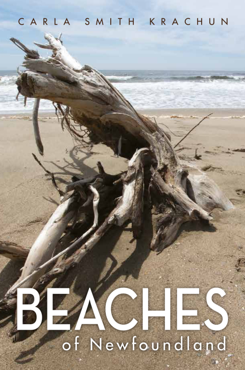Cover image for book Beaches of Newfoundland