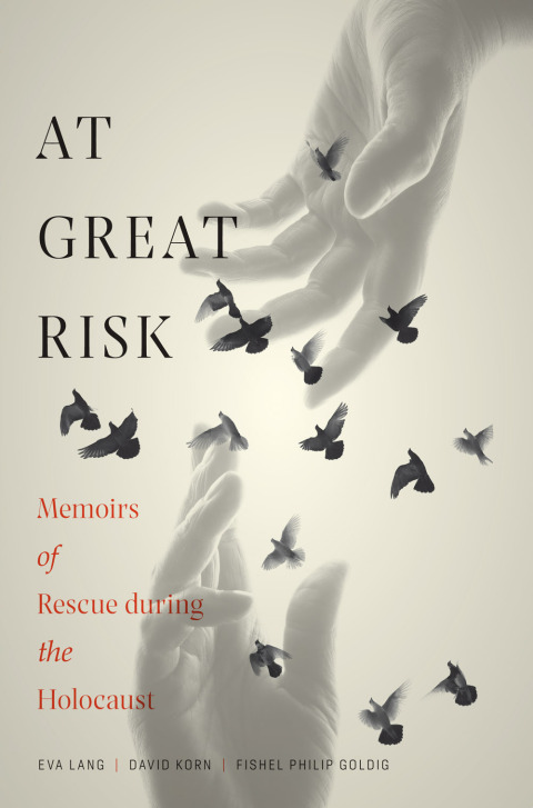 Cover image for book At Great Risk