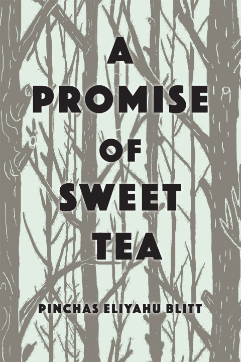 Cover image for book A Promise of Sweet Tea
