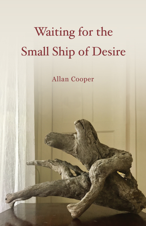 Cover image for book Waiting for the Small Ship of Desire