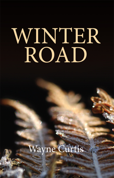 Cover image for book Winter Road
