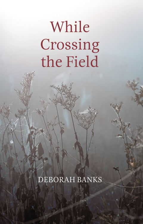 Cover image for book While Crossing the Field