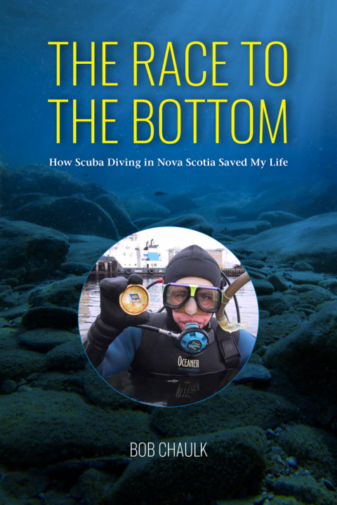 Cover image for book The Race to the Bottom