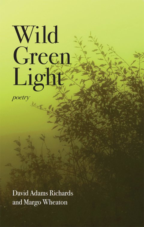 Cover image for book Wild Green Light