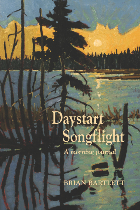 Cover image for book Daystart Songflight