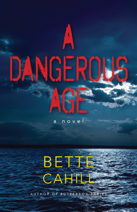 Cover image for book A Dangerous Age