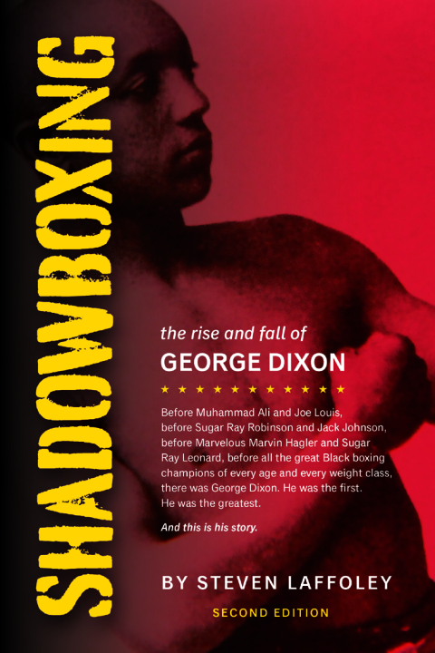 Cover image for book Shadowboxing