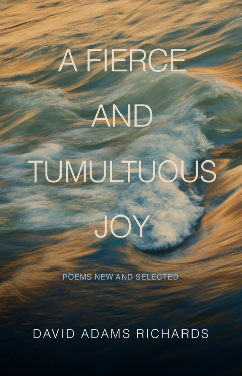 Cover image for book A Fierce and Tumultuous Joy
