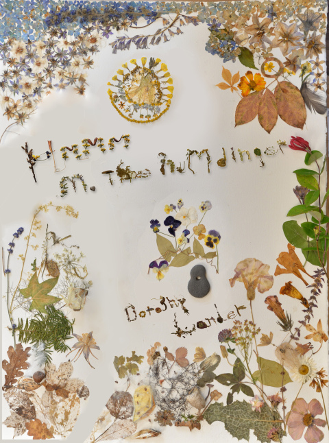 Cover image for book Hmmm - M the Humdinger