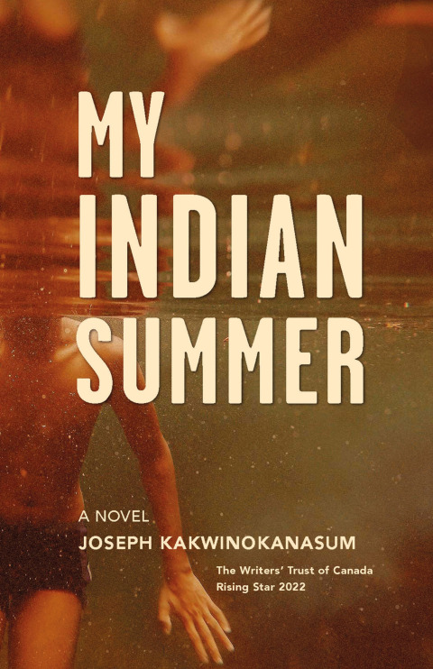 Cover image for book My Indian Summer