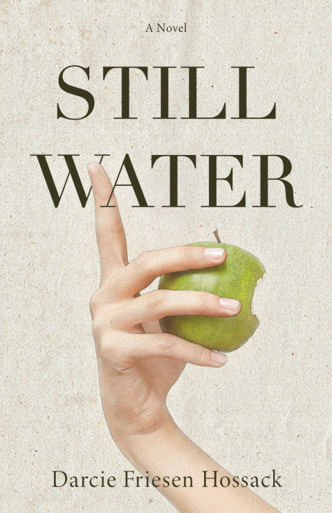 Cover image for book Stillwater